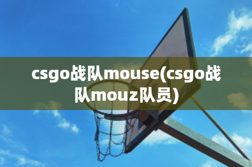 csgo战队mouse(csgo战队mouz队员)